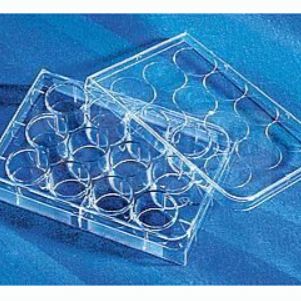 康宁3513 12孔细胞培养板