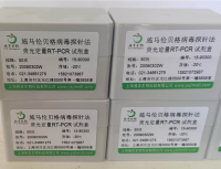 人类嗜T淋巴细胞病毒1型探针法荧光定量RT-PCR试剂盒