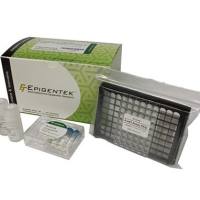 EpiQuik Total Histone Extraction HT Kit