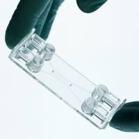 Beonchip 高灵活易用微流控器官芯片