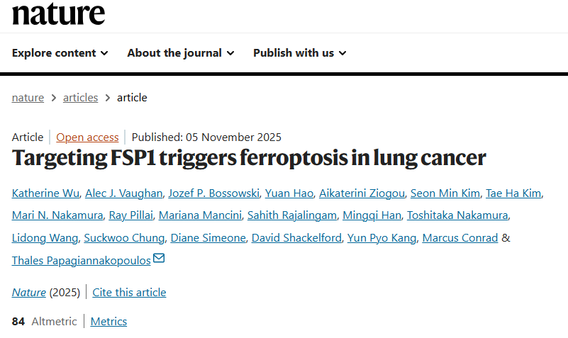 靶向FSP1触发铁死亡：肺癌治疗新突破