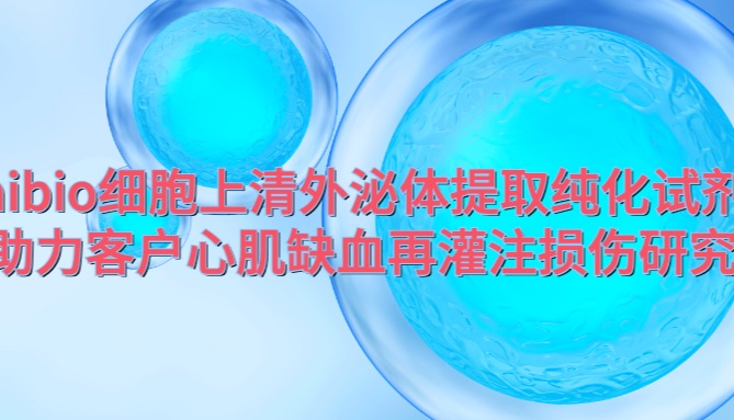 IF=7.3 | Umibio细胞上清外泌体提取纯化试剂盒助力客户心肌缺血再灌注损伤研究！