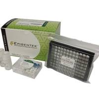 EpiQuik Total Histone Extraction HT Kit