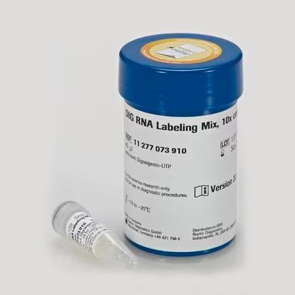 ROCHE/罗氏 11277073910 DIG RNA标记混合物