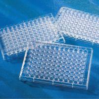 康宁3599 96孔细胞培养板