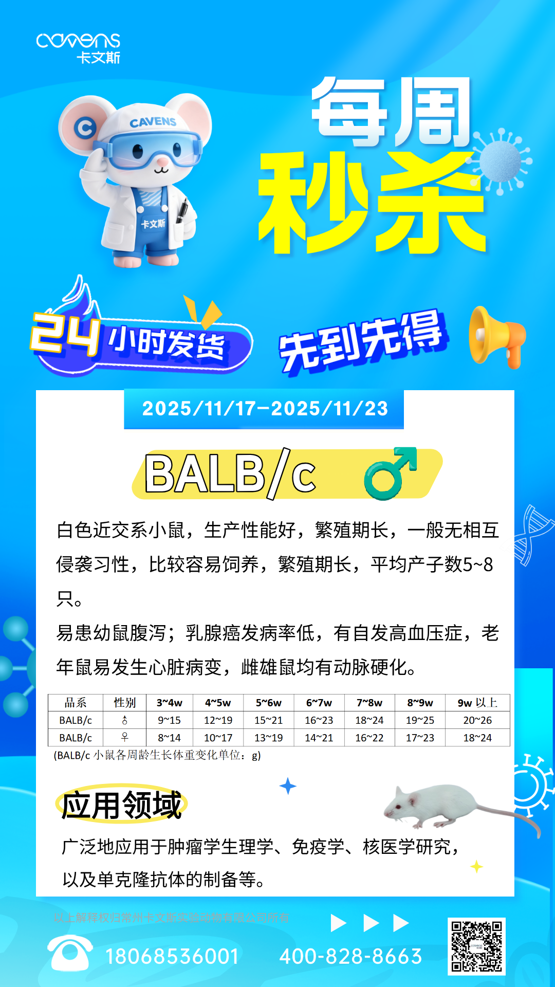 BALB/c 雄买一送一