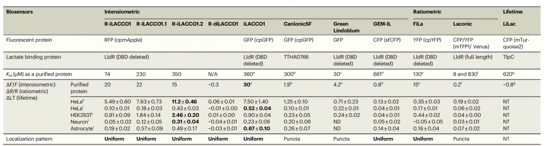 IF=16.6【新品推荐】Nat Commun|日本东京大学研究团队开发用于光谱与空间多重荧光成像的L-乳酸探针