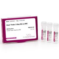 Clara® Probe 一步法预混液  Separate-ROX