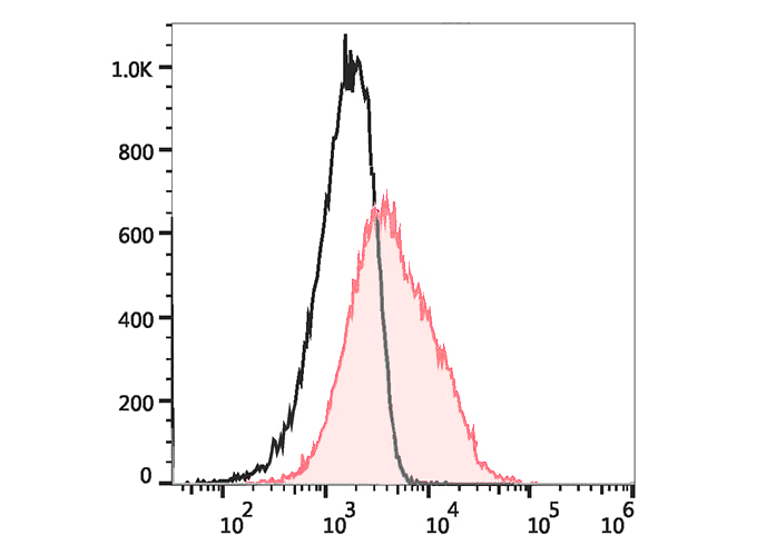 FITC Anti-Mouse CD90 Antibody(