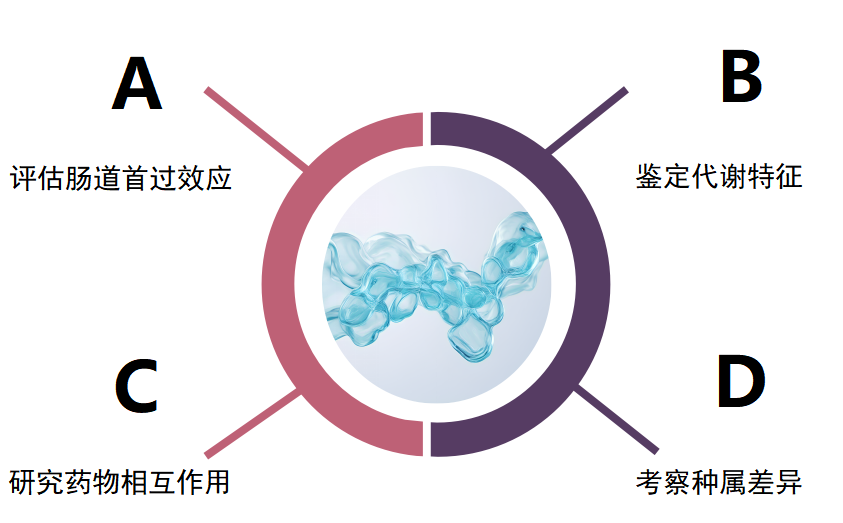 肠微粒体 1-2.png 肠微粒体 1-2.png