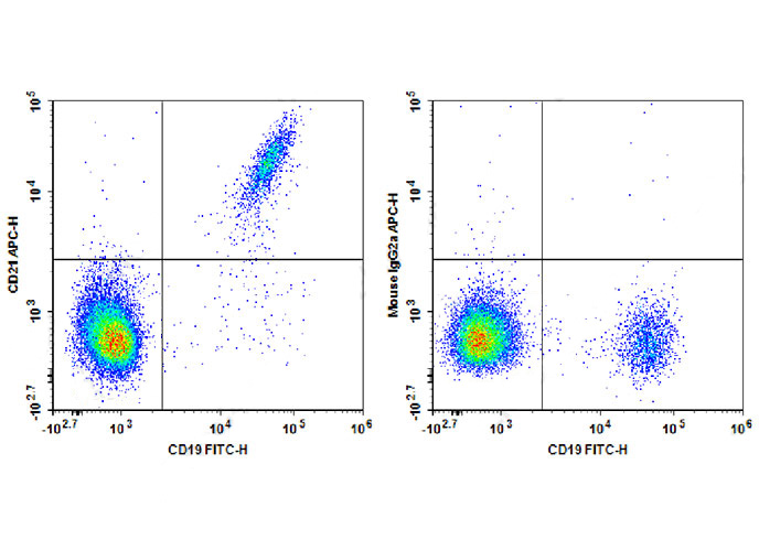 PE Anti-Human CD4 (RPA-T4)