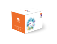 慢病毒浓缩纯化试剂盒