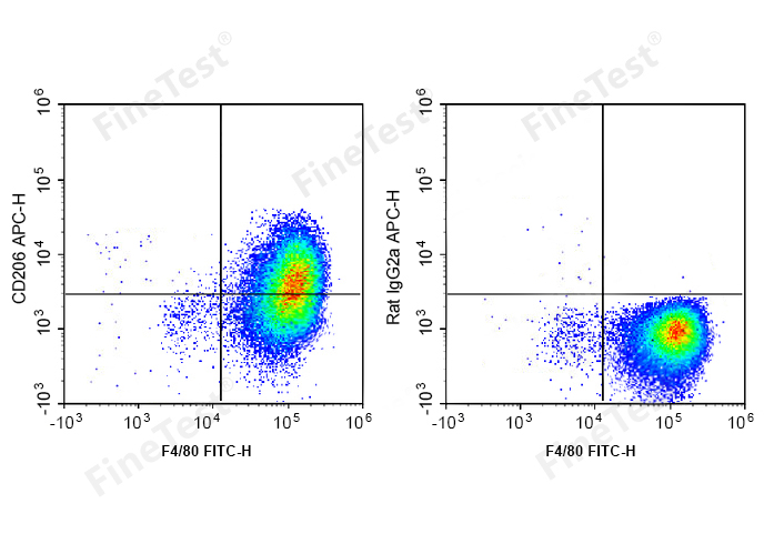 APC Anti-Mouse CD206 Antibody(