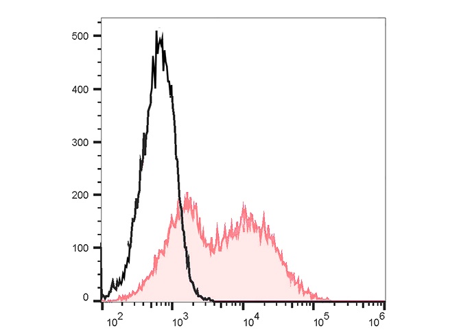 Sunncell 700 Anti-Mouse CD90 A