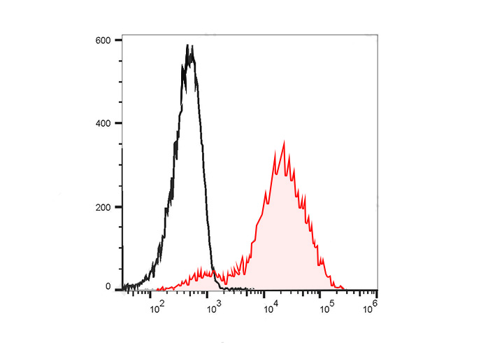 Sunncell Violet 500 Rat IgG2b,