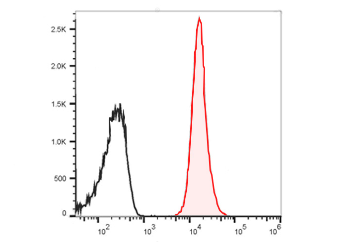 PE Anti-Mouse IFNγ(XMG1.2)