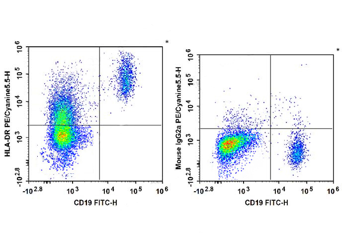 PE-Cy5 Anti-Human CD57 Antibod