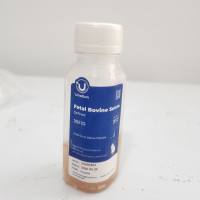 南美胎牛血清 Fetal Bovine Serum