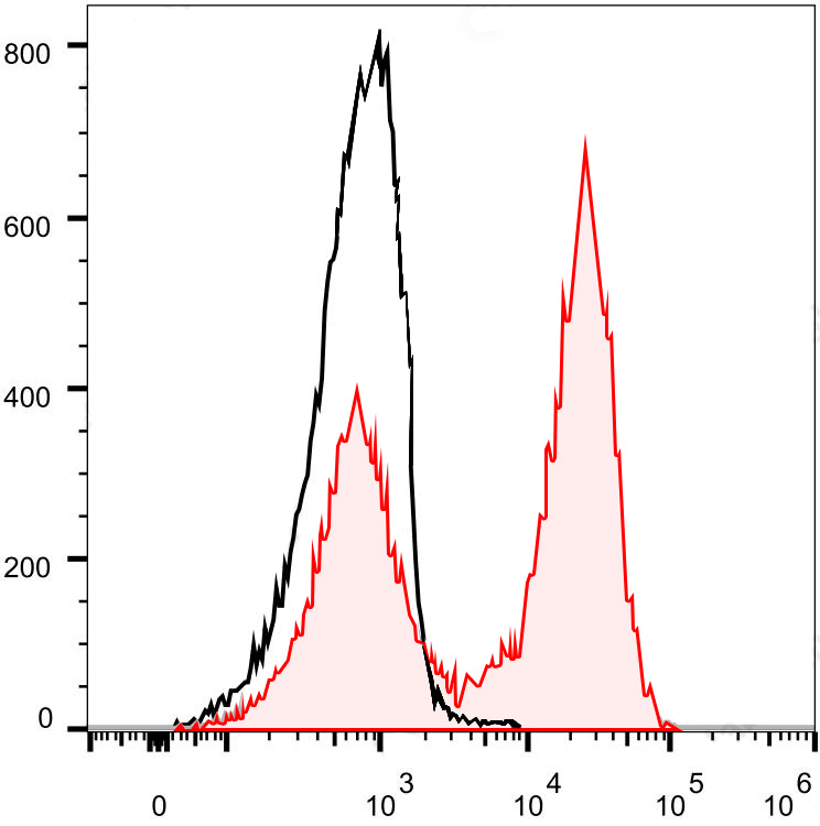Sunncell Violet 610 Armenian H