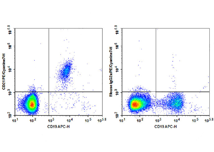 PE Anti-Mouse CD28(37.51)