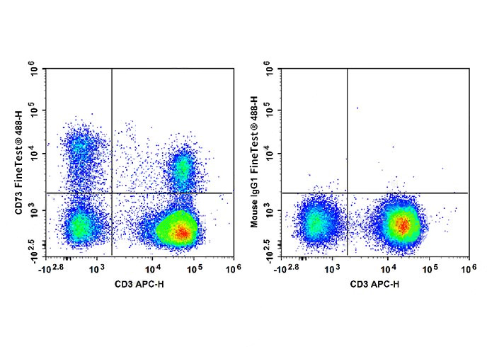 PE Anti-Mouse CD45.1(A20)