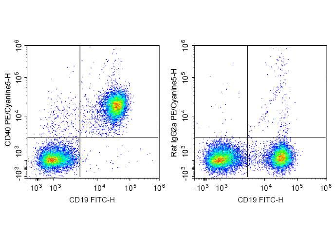 Sunncell 488 Anti-Mouse CD25 A