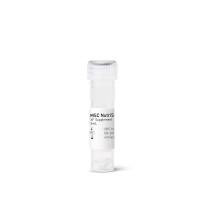 Sartorius 05-201-1U 培养基MSC NutriStem® XF 添加物 3ml