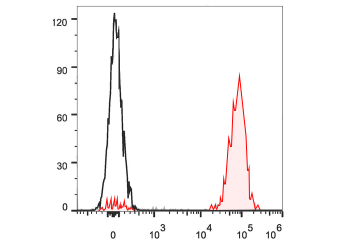 FITC Rat IgG2a, λ Isotype Cont