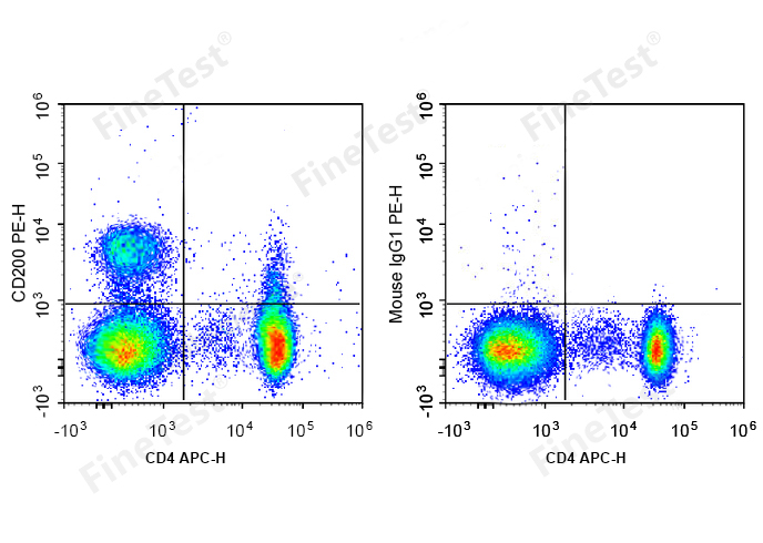Sunncell 488 Anti-Mouse CD22 A