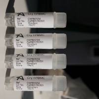 Human冻存PBMC分离服务19121878899上海睿安生物