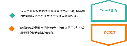 肠微粒体 1-5.png 肠微粒体 1-5.png