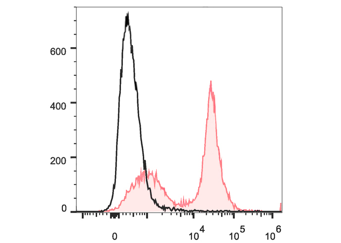 Sunncell 700 Anti-Mouse CD25 A