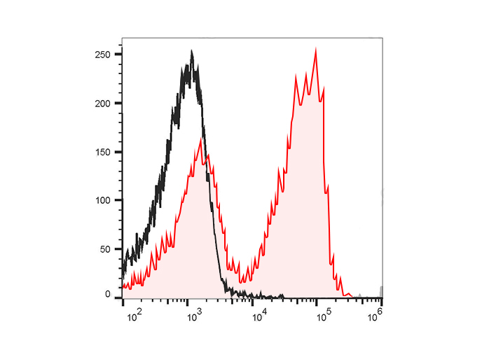 PE-Cy7 Anti-Mouse CD22(Cy34.1)
