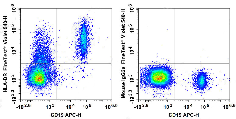 FITC Anti-Human CD57 Antibody(