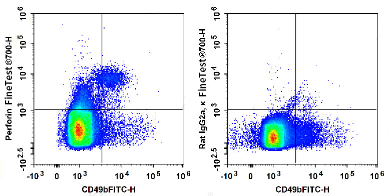 PE Anti-Human CD15/SSEA-1 Anti