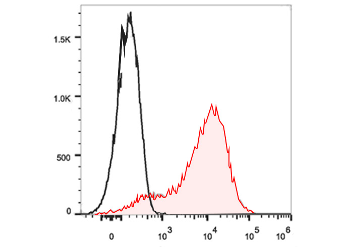 Sunncell Violet 500 Rat IgG2a,