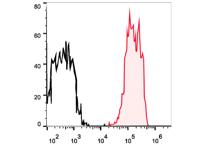 Sunncell 488 Anti-Human CD20 (