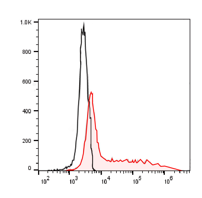 FITC Anti-Mouse CD366/Tim-3 An