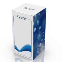 文库全流程服务