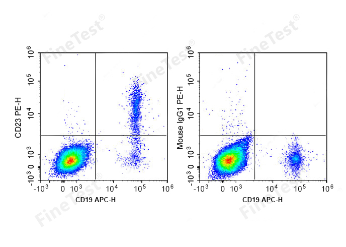 PerCP-Cy5.5 Anti-Mouse CD22 An