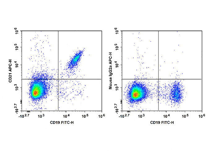 PE Anti-Human CD38(HIT2)