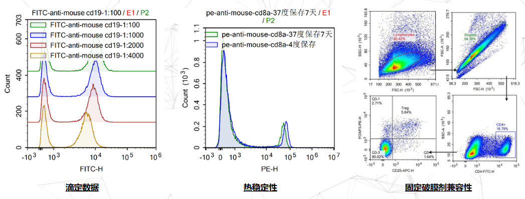 PE Anti-Human CD33 Antibody(P6