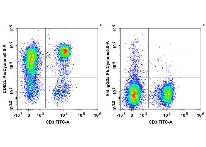 Sunncell 700 Anti-Human/Mouse/