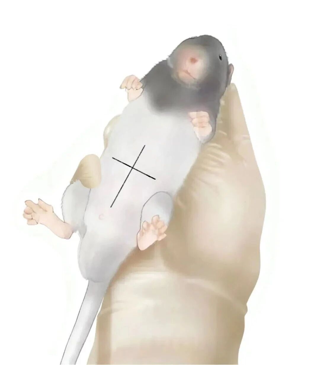 收藏贴!超详细「他莫昔芬给药」攻略