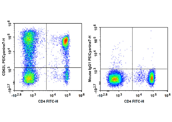 PE Anti-Human CD226/DNAM-1 Ant