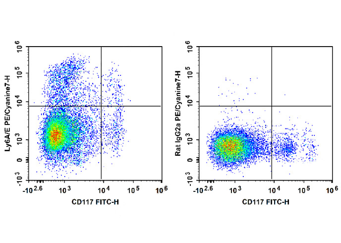 Sunncell Violet 540 Rat IgG2a,