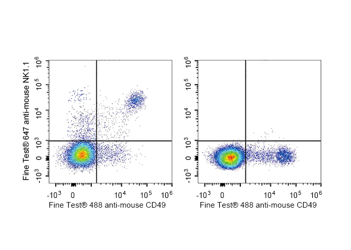 PE-Cy5 Anti-Mouse CD25 Antibod