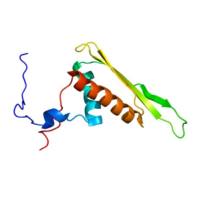 重组人DHX9蛋白 | Recombinant Human DHX9, 325-562aa