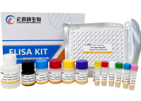 小鼠β干扰素(IFN-β)elisa试剂盒-96T/48T