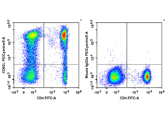 FITC Anti-Human CD56 (B-A19)